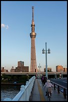 Sky Tree from the Kototoi Bridge. Tokyo, Japan ( color)