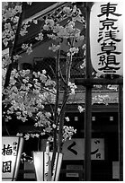 Lanterns and cherry blossoms on Nakamise-dori, Asakusa. Tokyo, Japan (black and white)