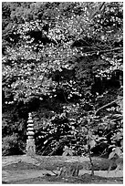 Garden with trees and mosses on the grounds of the Kinkaku-ji Temple. Kyoto, Japan (black and white)