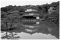 Golden pavilion, Kinkaku-ji Temple. Kyoto, Japan (black and white)