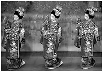 Maiko (apprentice Geisha) dress elaborately to perform the Miyako Odori (cherry blossom dance). Kyoto, Japan (black and white)