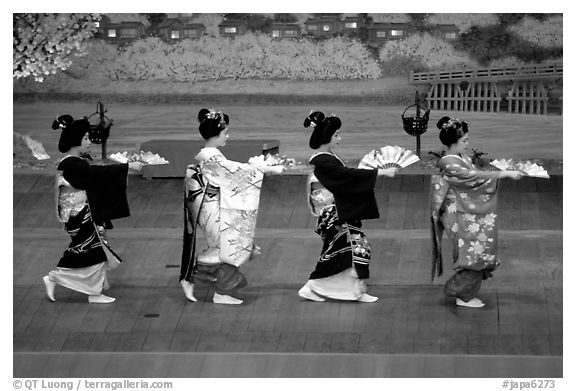 Maiko (apprentice Geisha) dress elaborately to perform the Miyako Odori (cherry blossom dance). Kyoto, Japan