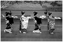 Maiko (apprentice Geisha) dress elaborately to perform the Miyako Odori (cherry blossom dance). Kyoto, Japan ( black and white)