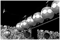 Lanterns and cherry blooms. Kyoto, Japan (black and white)