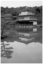 Golden pavilion, Kinkaku-ji Temple. Kyoto, Japan (black and white)