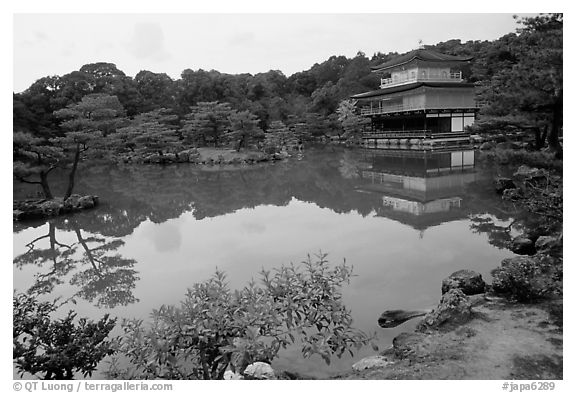 Golden pavilion, Kinkaku-ji Temple. Kyoto, Japan