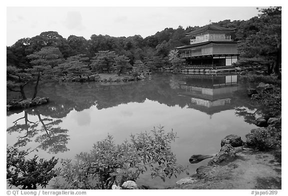 Golden pavilion, Kinkaku-ji Temple. Kyoto, Japan (black and white)