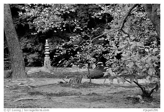 Garden with trees and mosses on the grounds of the Kinkaku-ji Temple. Kyoto, Japan (black and white)