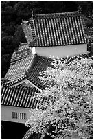 Rooftops and cherry trees seen from the castle donjon. Himeji, Japan (black and white)