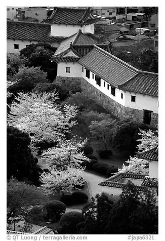 Castle grounds with blossoming cherry trees. Himeji, Japan