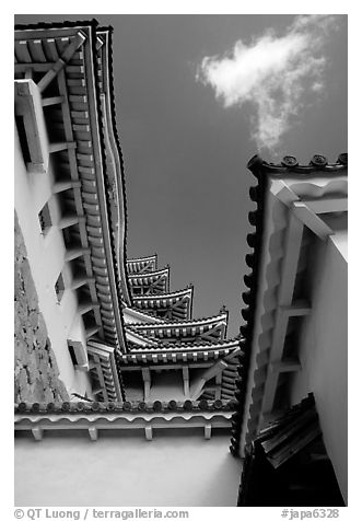 Architectural detail of the castle. Himeji, Japan (black and white)