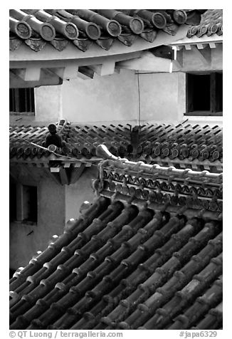 Roofs and walls inside the castle. Himeji, Japan (black and white)
