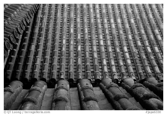 Roof detail. Himeji, Japan (black and white)