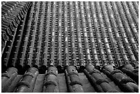 Roof detail. Himeji, Japan (black and white)