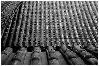 Roof detail. Himeji, Japan ( black and white)