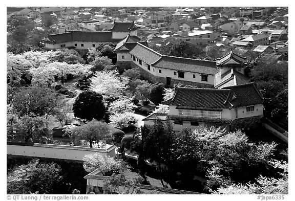 Castle grounds and walls with cherry trees in bloom. Himeji, Japan (black and white)