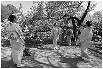 Japanese women in kimono pose for pictures under cherry tree in bloom, Shinjuku Gyoen National Garden. Tokyo, Japan ( black and white)