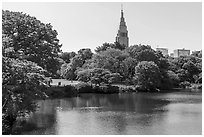 Decomo Tower from Shinjuku Gyoen National Garden. Tokyo, Japan ( black and white)