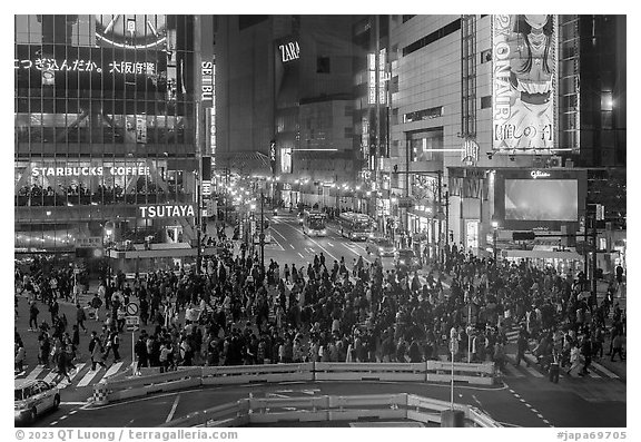 Shiboya crossing at night. Tokyo, Japan (black and white)