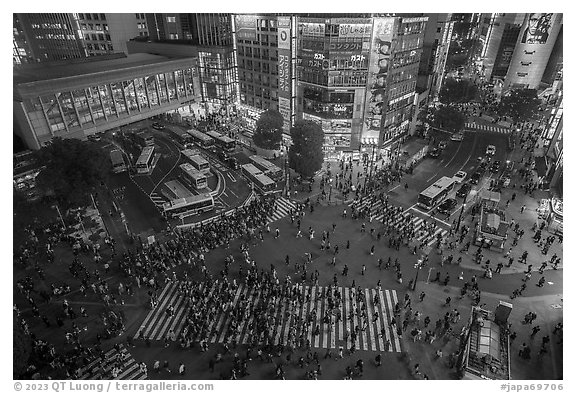 Shiboya crossing at night from above. Tokyo, Japan