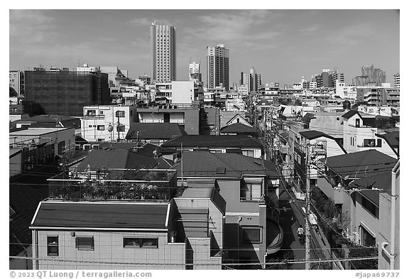 Rooftops and alley, Shinjuku. Tokyo, Japan (black and white)
