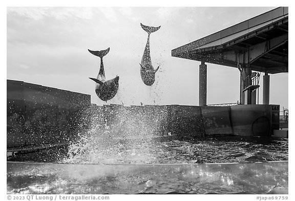 Two dolphins high in the air, Enoshima Aquarium. Fujisawa, Japan (black and white)