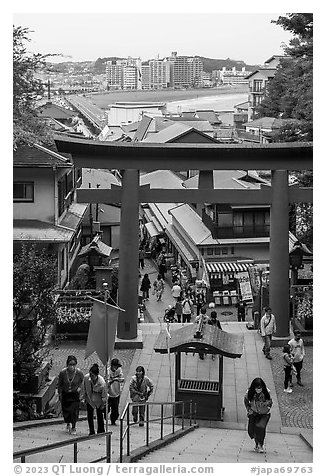 Red Tori Gate. Enoshima Island, Japan (black and white)