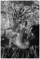 Dragon God Gozuryu, Enoshima Iwaya Caves. Enoshima Island, Japan ( black and white)