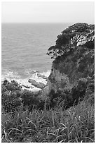 Lush cliffs. Enoshima Island, Japan ( black and white)