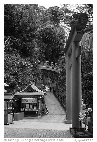 Path and red bridge behind red tori gate. Enoshima Island, Japan (black and white)