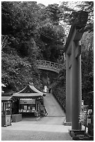 Path and red bridge behind red tori gate. Enoshima Island, Japan ( black and white)