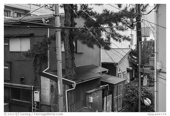 Bronze Tori gate, Nakamise Street, and Hetsumiya Shrine in the rain. Fujisawa, Japan (black and white)