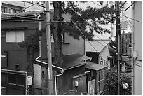 Bronze Tori gate, Nakamise Street, and Hetsumiya Shrine in the rain. Fujisawa, Japan ( black and white)