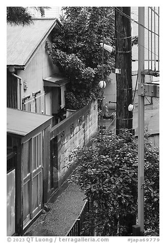 Wooden house with tree through roof. Fujisawa, Japan (black and white)