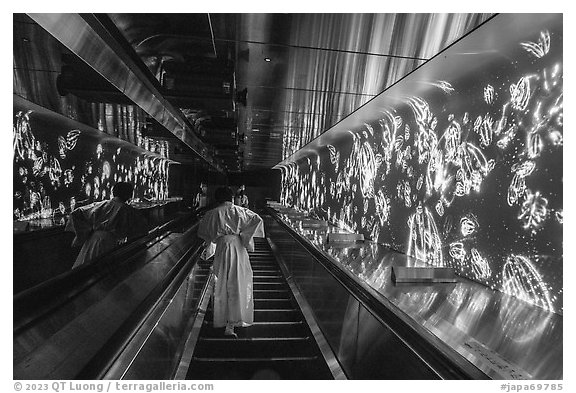 First Luminous Way escalator. Enoshima Island, Japan (black and white)