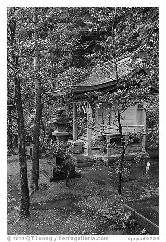Yasaka Shrine among trees. Enoshima Island, Japan (black and white)