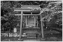 Red Tori gate and shrine. Enoshima Island, Japan ( black and white)