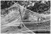 Art installation in Samuel Cocking Garden. Enoshima Island, Japan ( black and white)