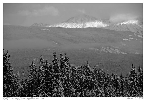 Snowy peaks hit by a ray of sun after a winter storm. Banff National Park, Canadian Rockies, Alberta, Canada (black and white)
