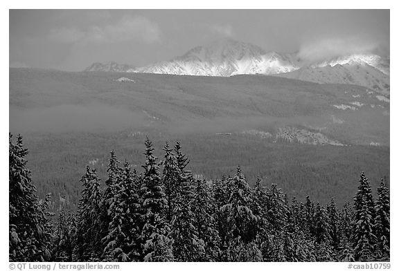 Snowy peaks hit by a ray of sun after a winter storm. Banff National Park, Canadian Rockies, Alberta, Canada