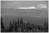 Snowy peaks hit by a ray of sun after a winter storm. Banff National Park, Canadian Rockies, Alberta, Canada ( black and white)