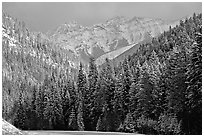 Snowy forest and mountains in storm light seen from the road. Banff National Park, Canadian Rockies, Alberta, Canada (black and white)