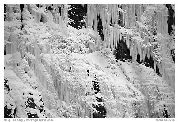 Wide frozen waterfall called Weeping Wall in early season. Banff National Park, Canadian Rockies, Alberta, Canada (black and white)