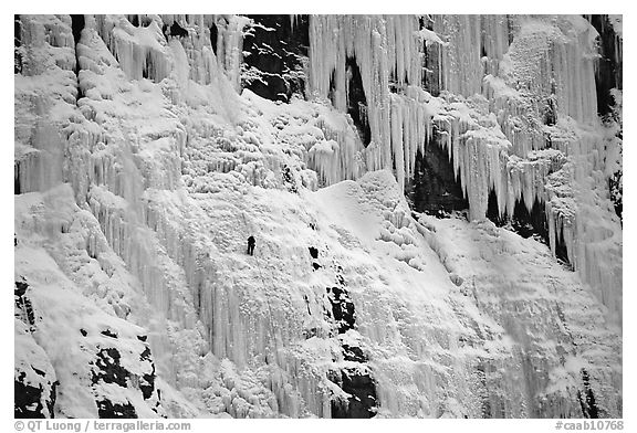 Wide frozen waterfall called Weeping Wall in early season. Banff National Park, Canadian Rockies, Alberta, Canada