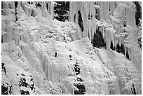 Wide frozen waterfall called Weeping Wall in early season. Banff National Park, Canadian Rockies, Alberta, Canada (black and white)