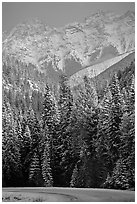 Snowy forest and mountains in storm light seen from the road. Banff National Park, Canadian Rockies, Alberta, Canada ( black and white)