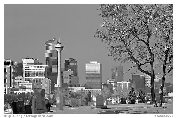 Calgary skyline seen from the cemetery in winter. Calgary, Alberta, Canada (black and white)