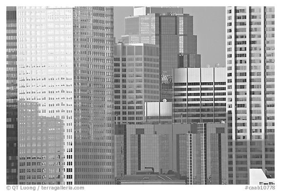 High-rise buildings. Calgary, Alberta, Canada (black and white)