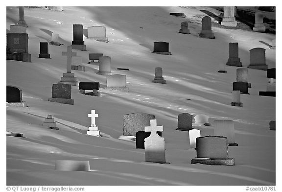 Tombs with crosses in snow. Calgary, Alberta, Canada (black and white)