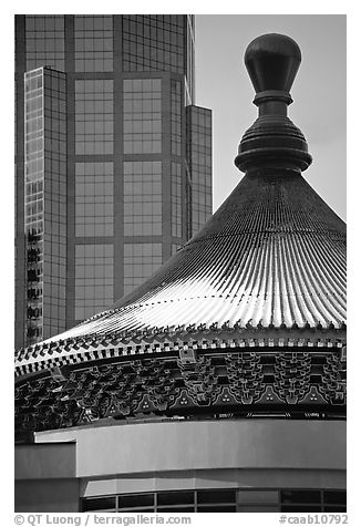 Dome of the Chinese cultural center. Calgary, Alberta, Canada